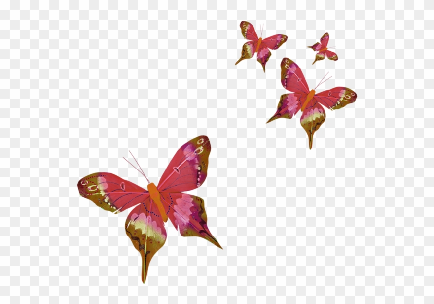 Butterfly Clip Art, Caterpillar, Bugs, Dragonflies, - Farfalla In Volo Gif - Png Download