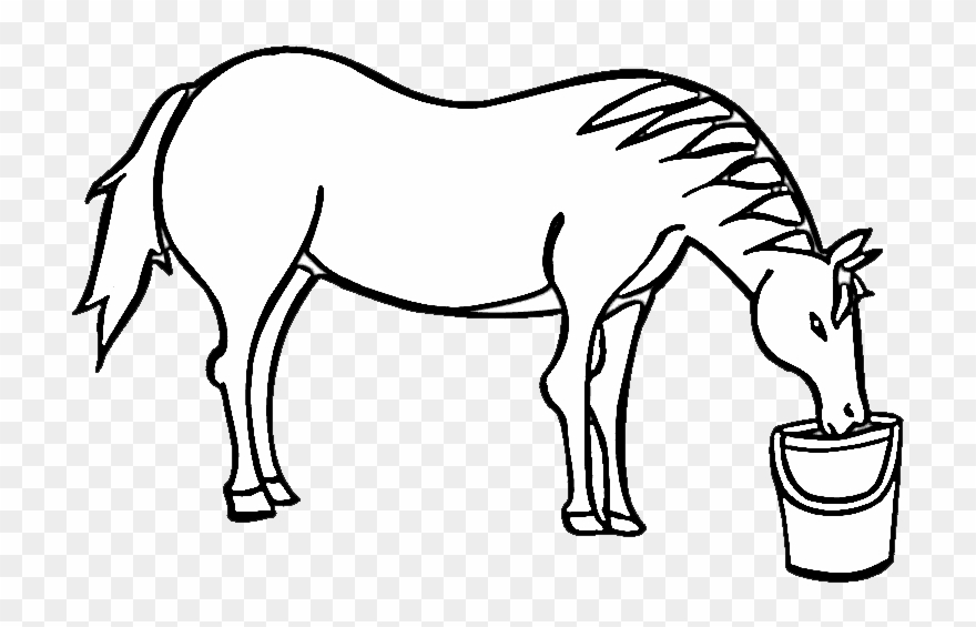 28 Collection Of Horse Drinking Water Drawing - Mare Clipart