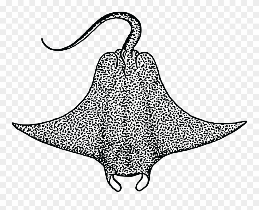 Free Clipart Of A Stingray - Devil Ray Clipart Black And White - Png Download