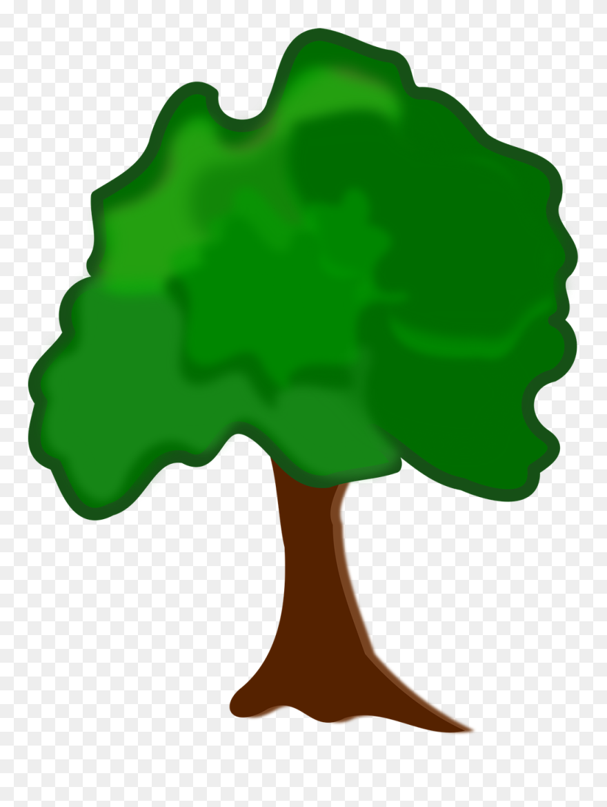 Icono Arbol Png Clipart