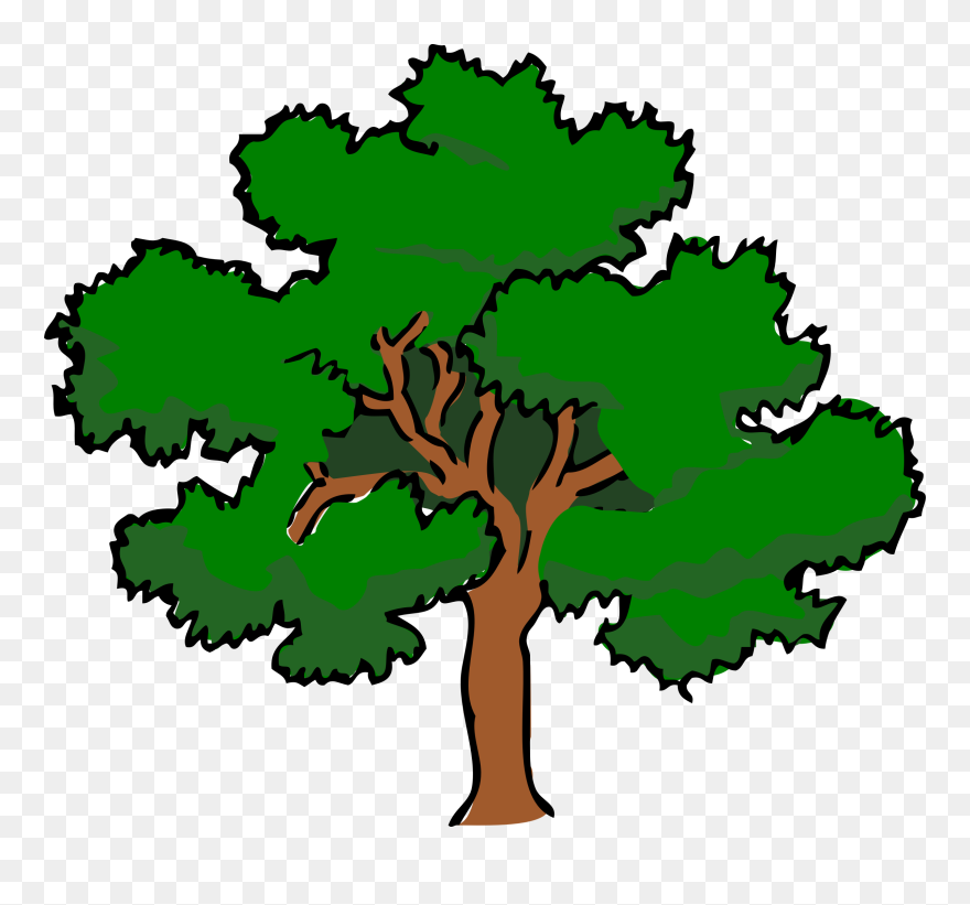 Oak Redux Big Image - Oak Tree Clipart