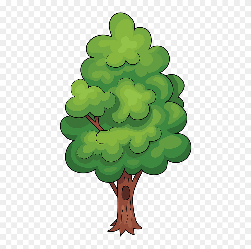Baum Clipart - Illustration - Png Download