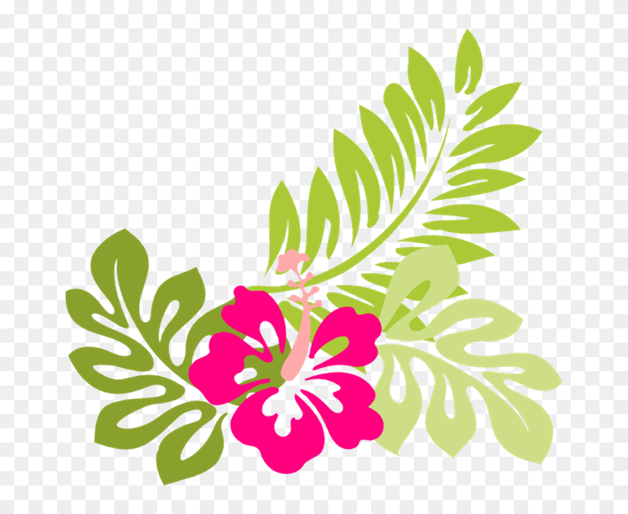 Tropical Flower Clip Art Flowers Clip Art Hawaiian - Hibiscus Clip Art - Png Download