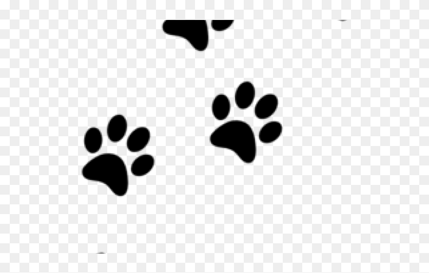 Cat Footprints Clipart Image Transparent Library Cat - Dog Paw Prints Transparent Background - Png Download