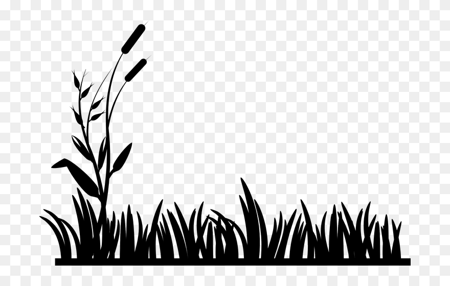 Black And White Grass Clipart (5301194) PinClipart