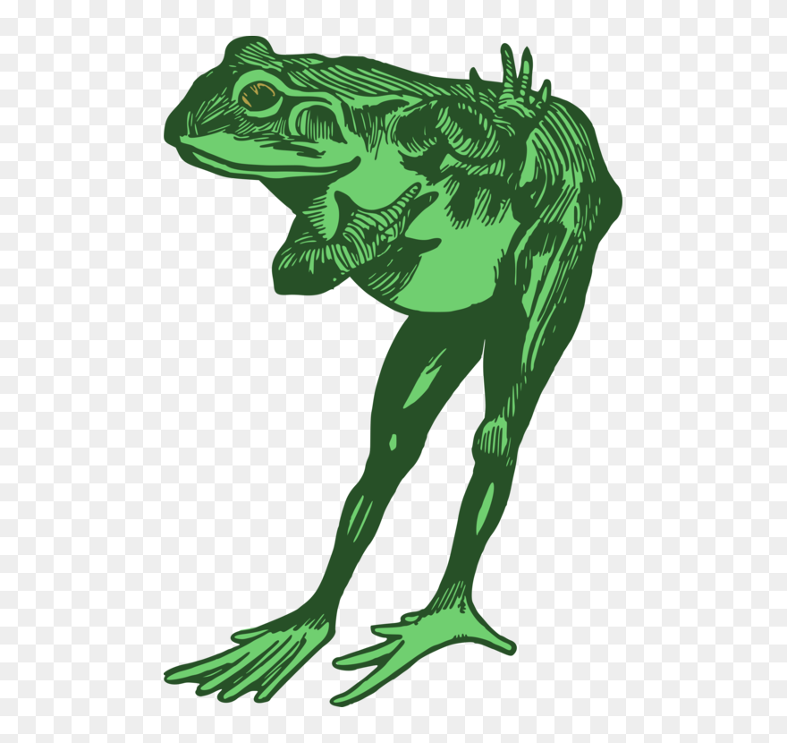 Grass,art,toad - Toad Black And White Drawing Clipart