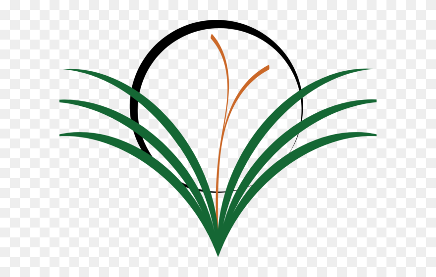 Weed Grass Cliparts - Clip Art - Png Download