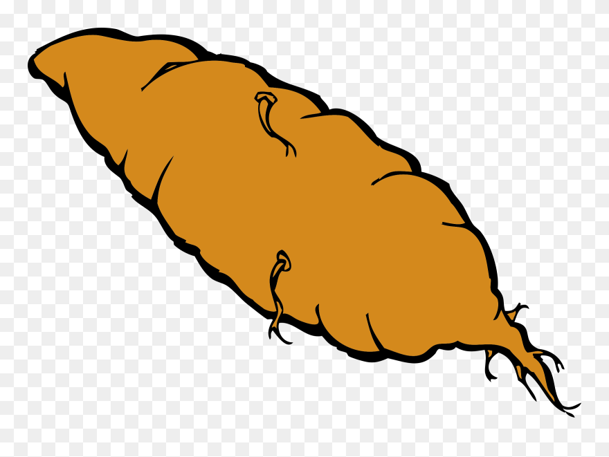 Sweet Potato Clip Art - Png Download