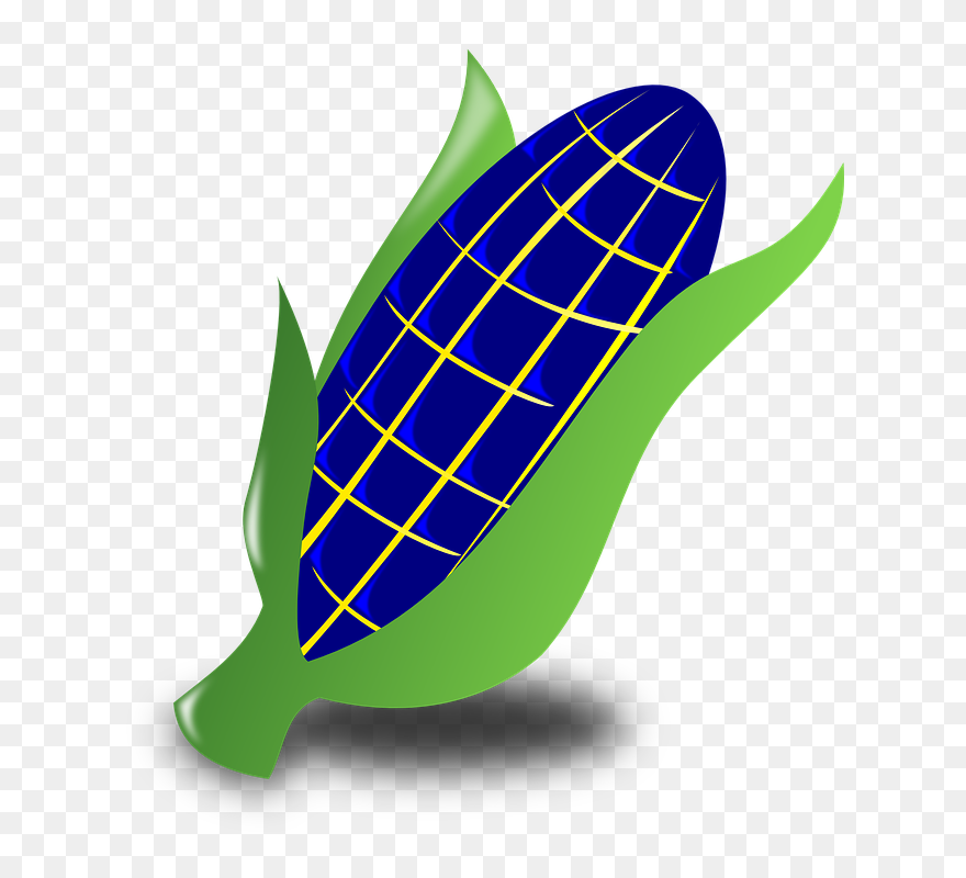 Corn Maize Blue - Clip Art - Png Download