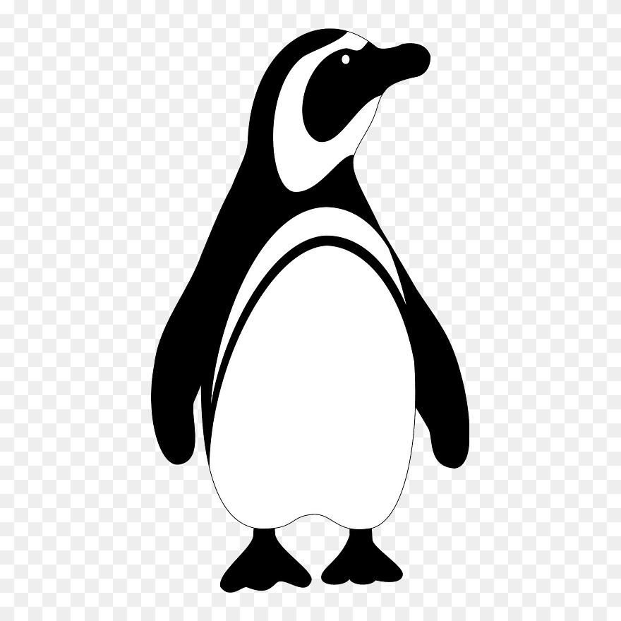 Black And White Penguin Clipart - Penguin Clipart Black And White - Png Download