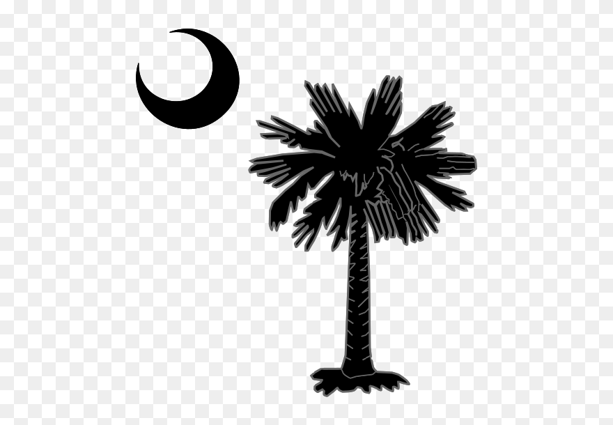 Sc Palmetto Tree Blue Right Side Moon Svg Clip Arts - South Carolina Palm Tree Logo - Png Download