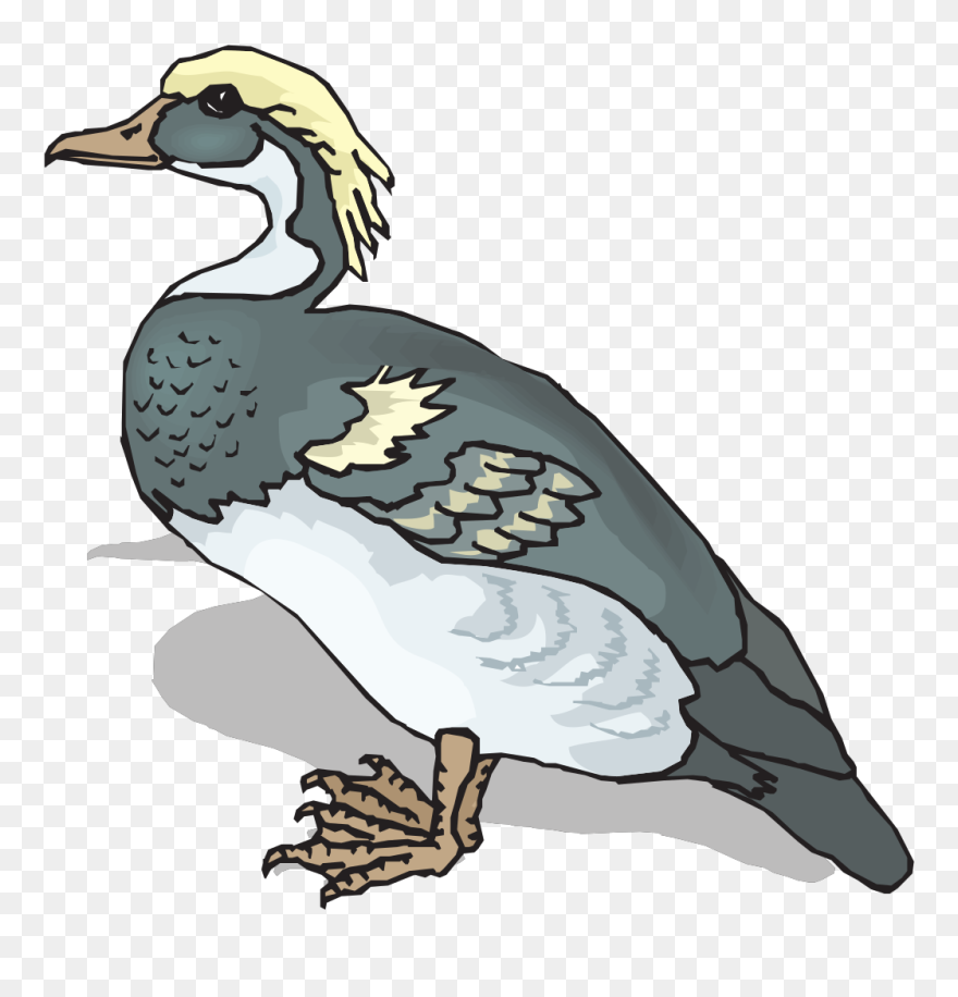 Clip Art - Png Download