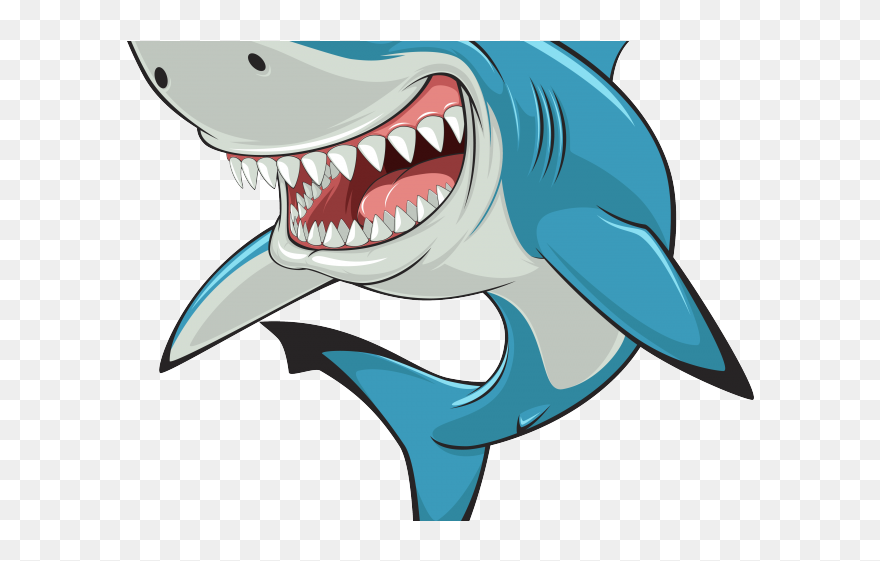Vector Shark Clipart
