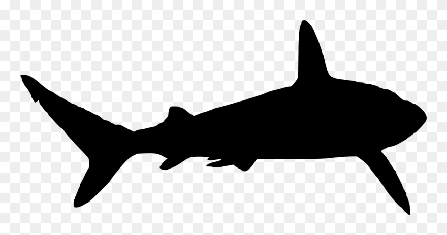 Great White Shark Silhouette Clip Art - Shark Silhouette Png Transparent Png