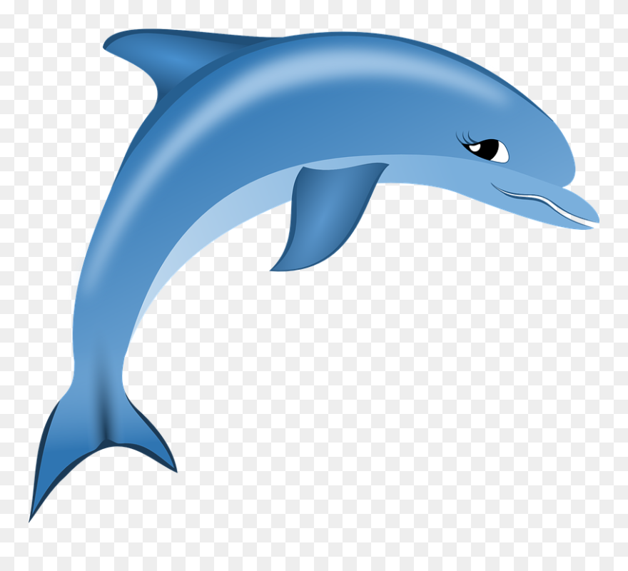 Dolphin Vector Art 12, Buy Clip Art - Clipart Delphin - Png Download