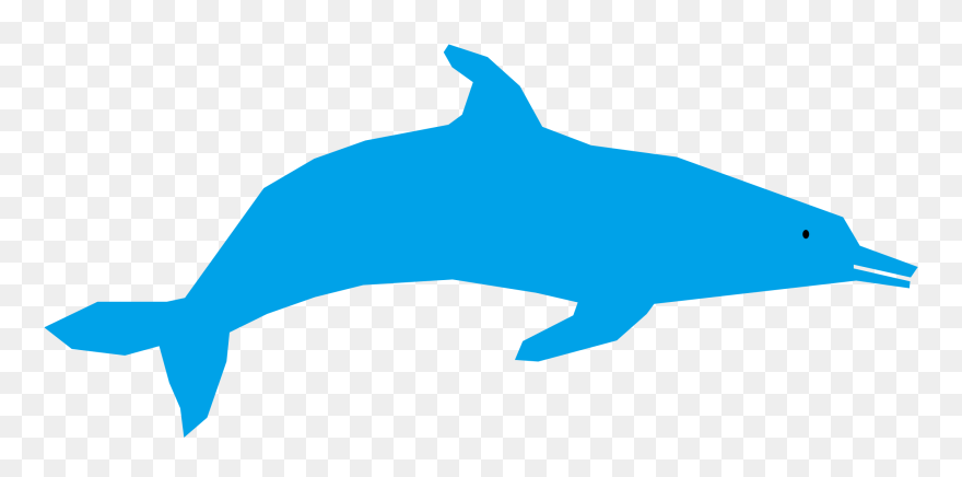Transparent Dolphin Clipart Png - Dolphin