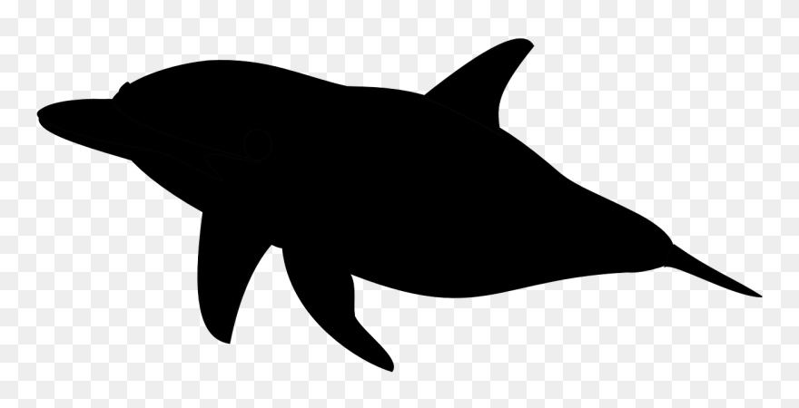 Dolphin Silhouette Clip Art - Silhouette Of Dolphin Transparent Png