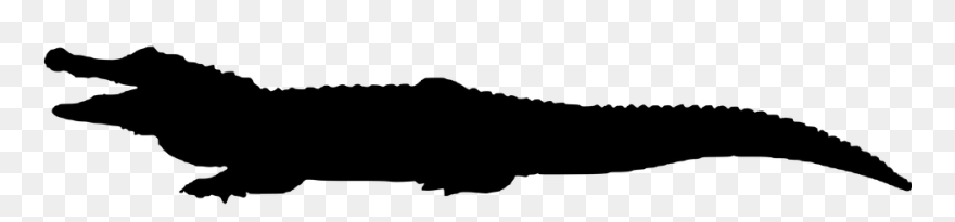 Caiman Clipart Transparent - Png Download