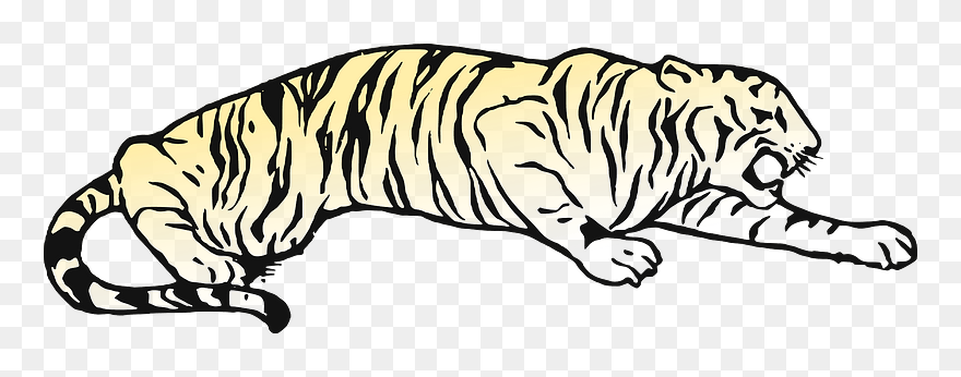 Lying Tiger Clipart - Tiger Pouncing Coloring Pages - Png Download