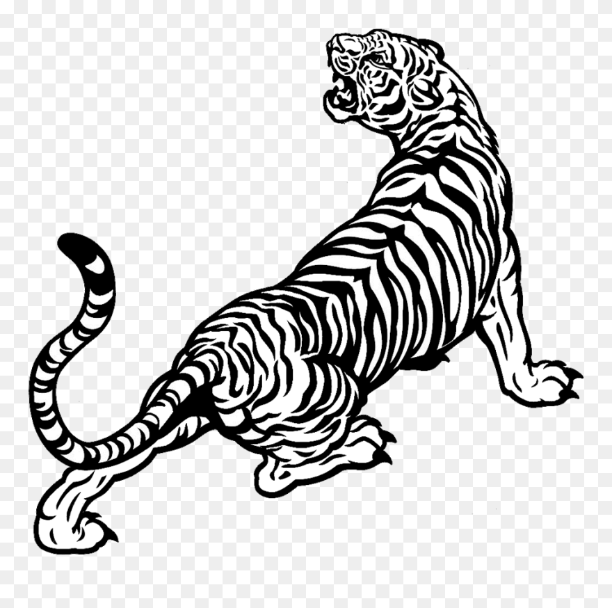 Big Cat Clipart Indian Tiger - Black And White Tiger Drawing - Png Download