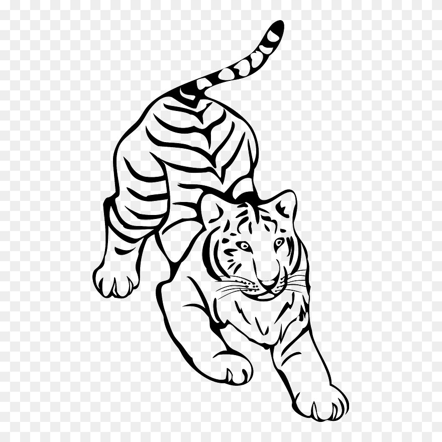 Crouching Tiger Clipart - Black And White Tiger Clipart - Png Download