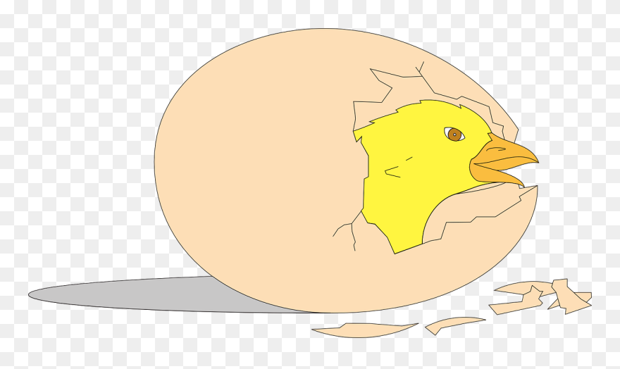 Animasi Telur Ayam Menetas Clipart