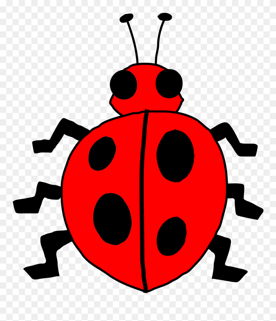 Clipart Picture Of Bug - Png Download