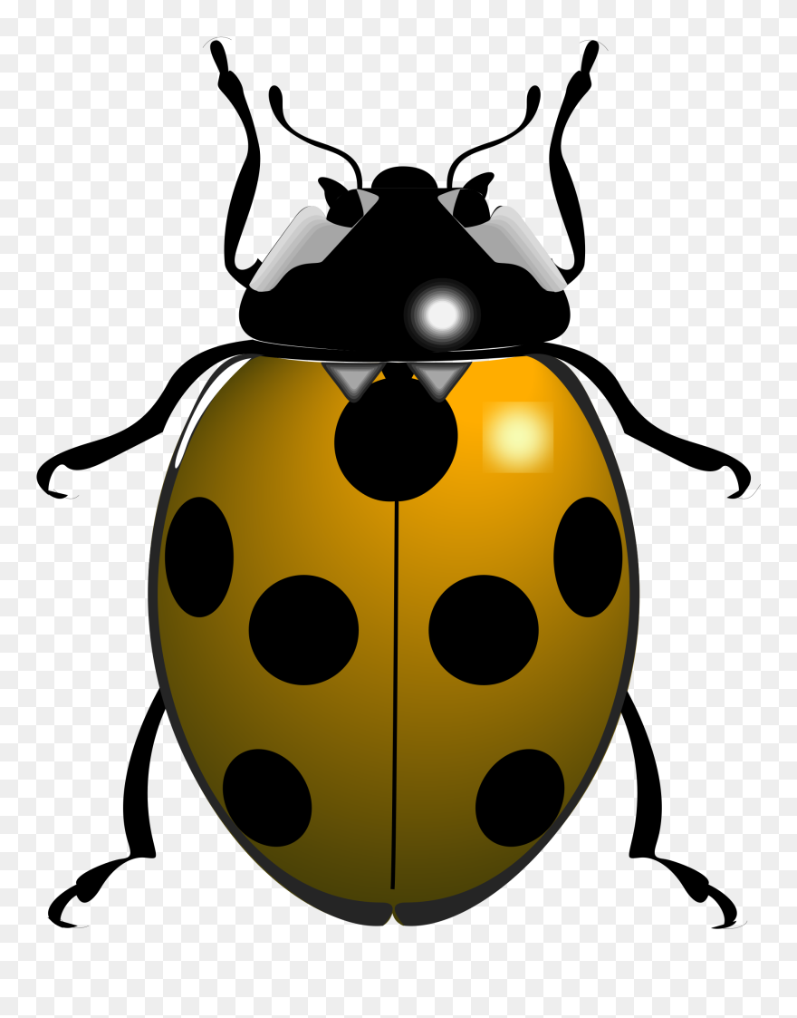 Free Ladybug Clipart Downloads Svg Transparent Library - Drawings Of Lady Bird - Png Download