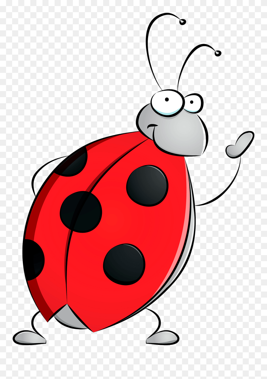 Ladybug Clipart