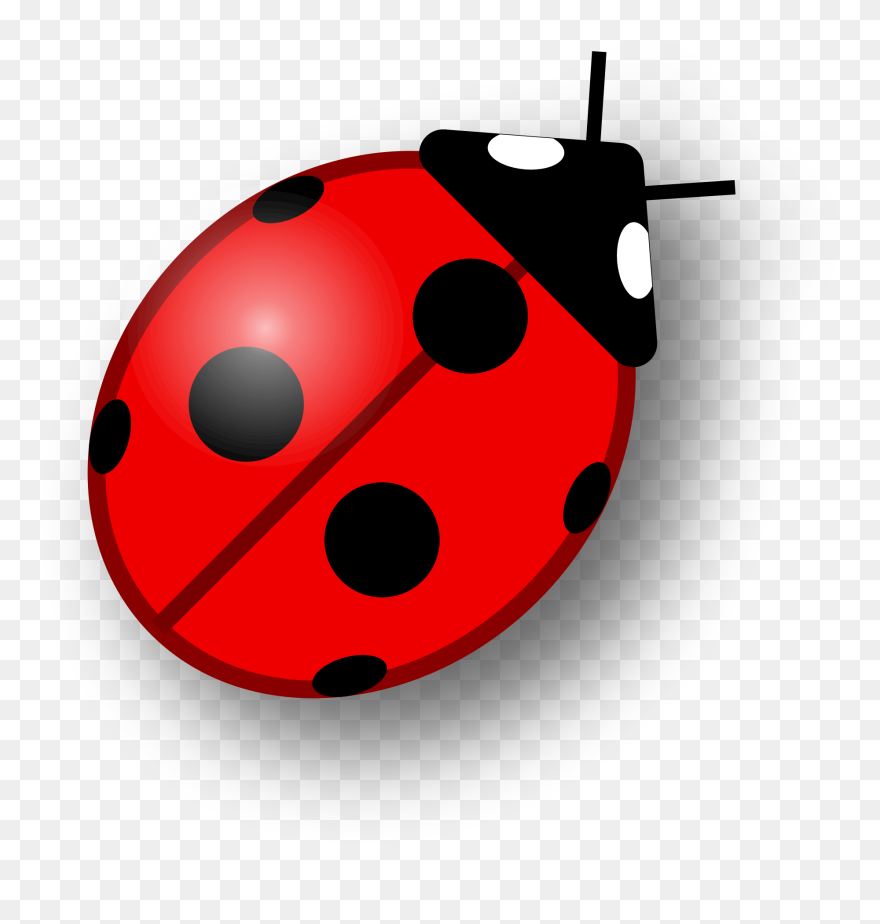Small Clipart Ladybug - Ladybird Png Transparent Png