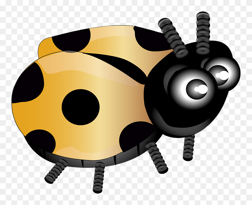 Yellow Ladybug Clipart - Eight Lady Bird Clipart - Png Download