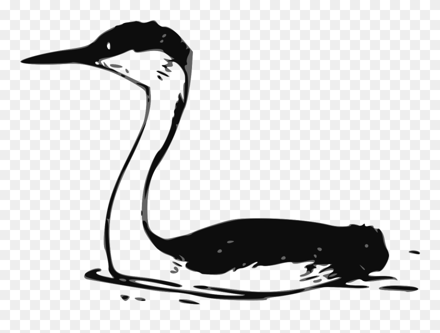 Grebe Clipart - Png Download