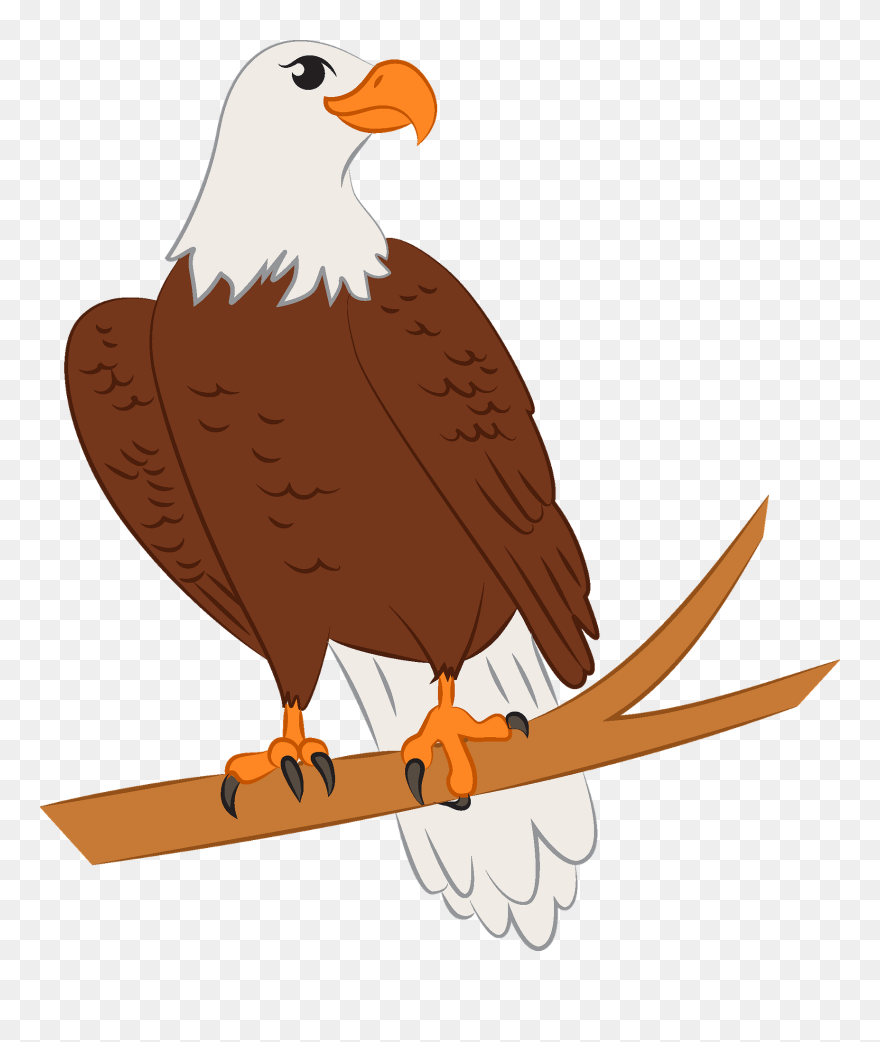 Eagle Clipart - Bald Eagle - Png Download