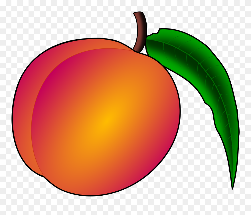Peach Clipart - Png Download