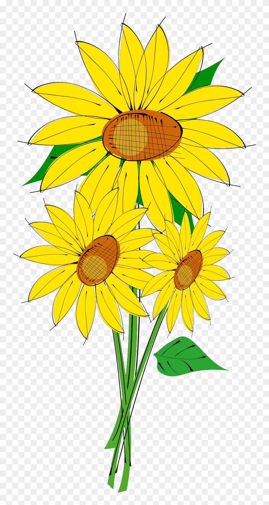 Transparent Background Sun Flower Clip Art - Png Download