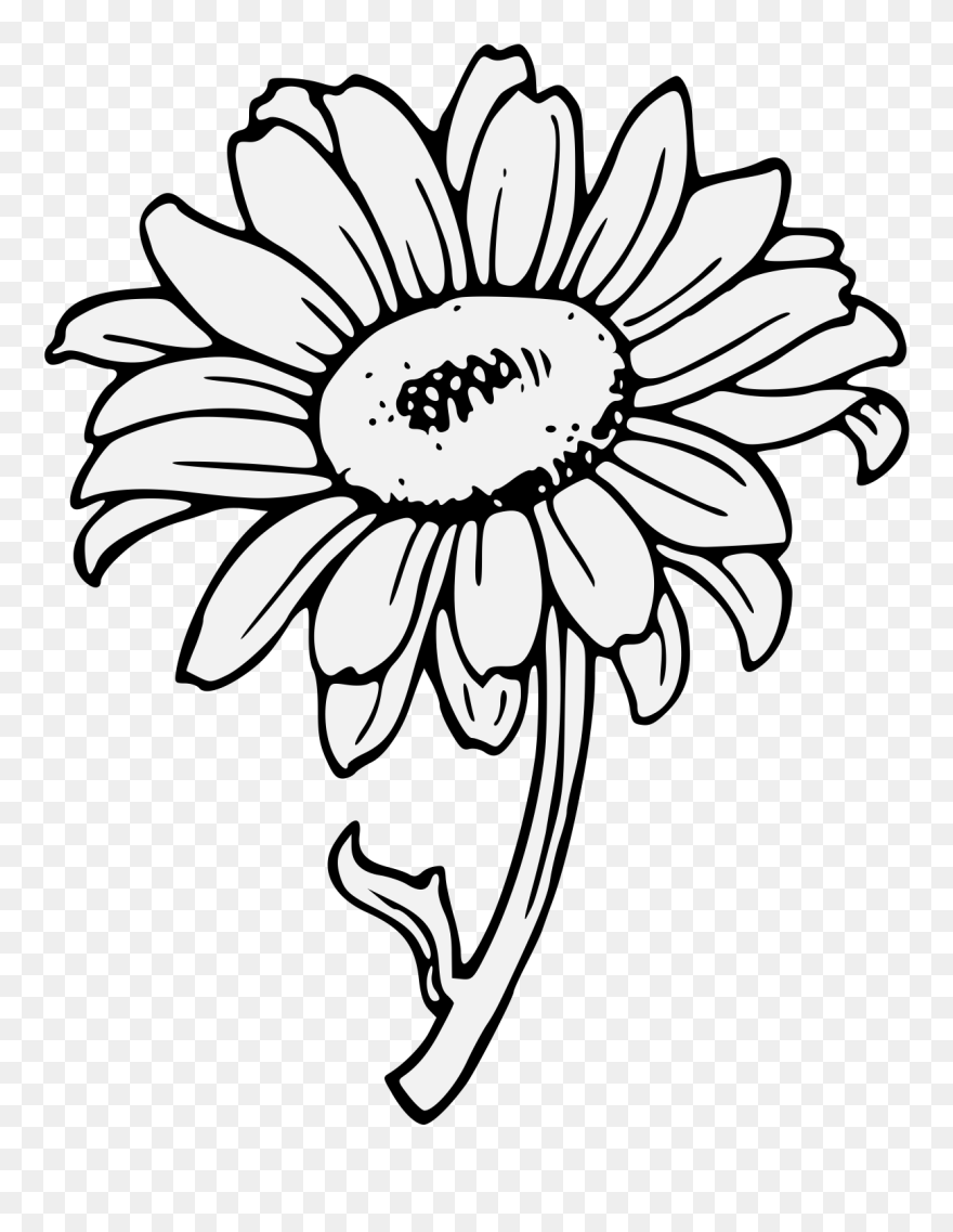 Free Download Sunflower Clipart Common Sunflower Clip - Sunflower Clipart Black And White - Png Download