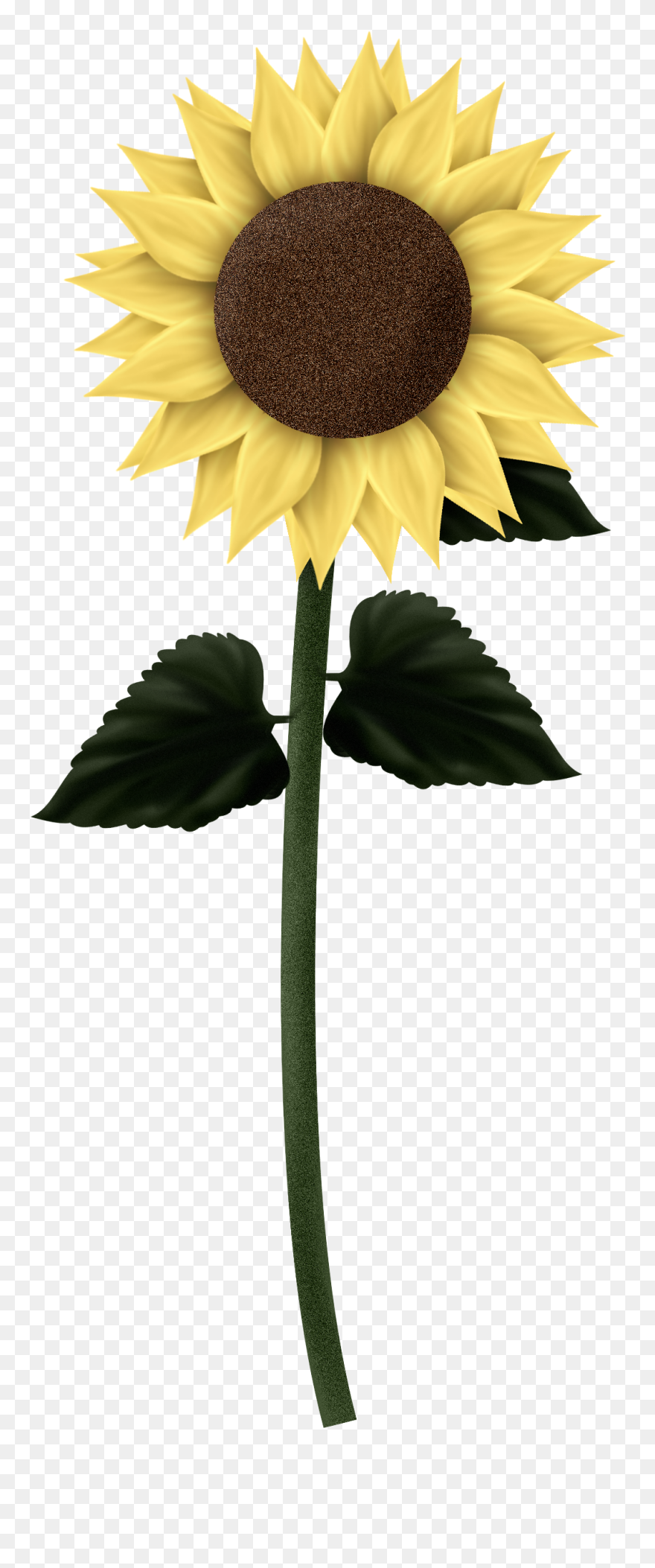 Rain Flowers Sun Clipart Clip Art Stock Sunflowers - Sunflower Gif Transparent Background - Png Download