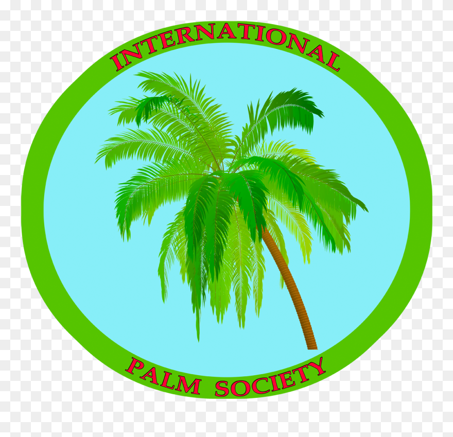 Coconut Tree Clipart