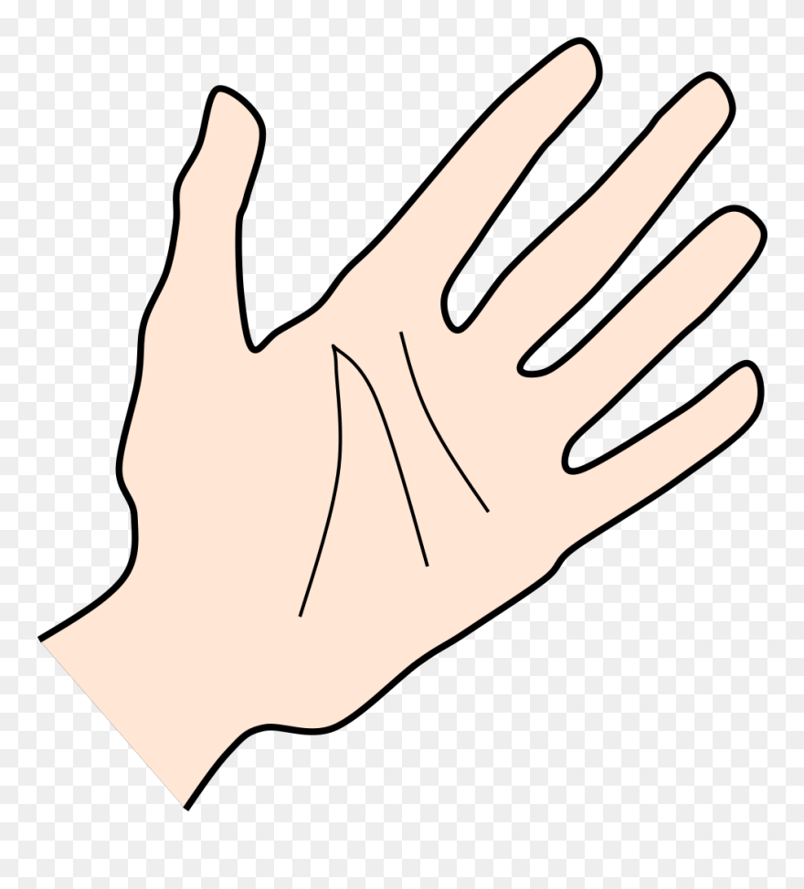 Coconut Palm Svg Clip Arts - Clip Art - Png Download