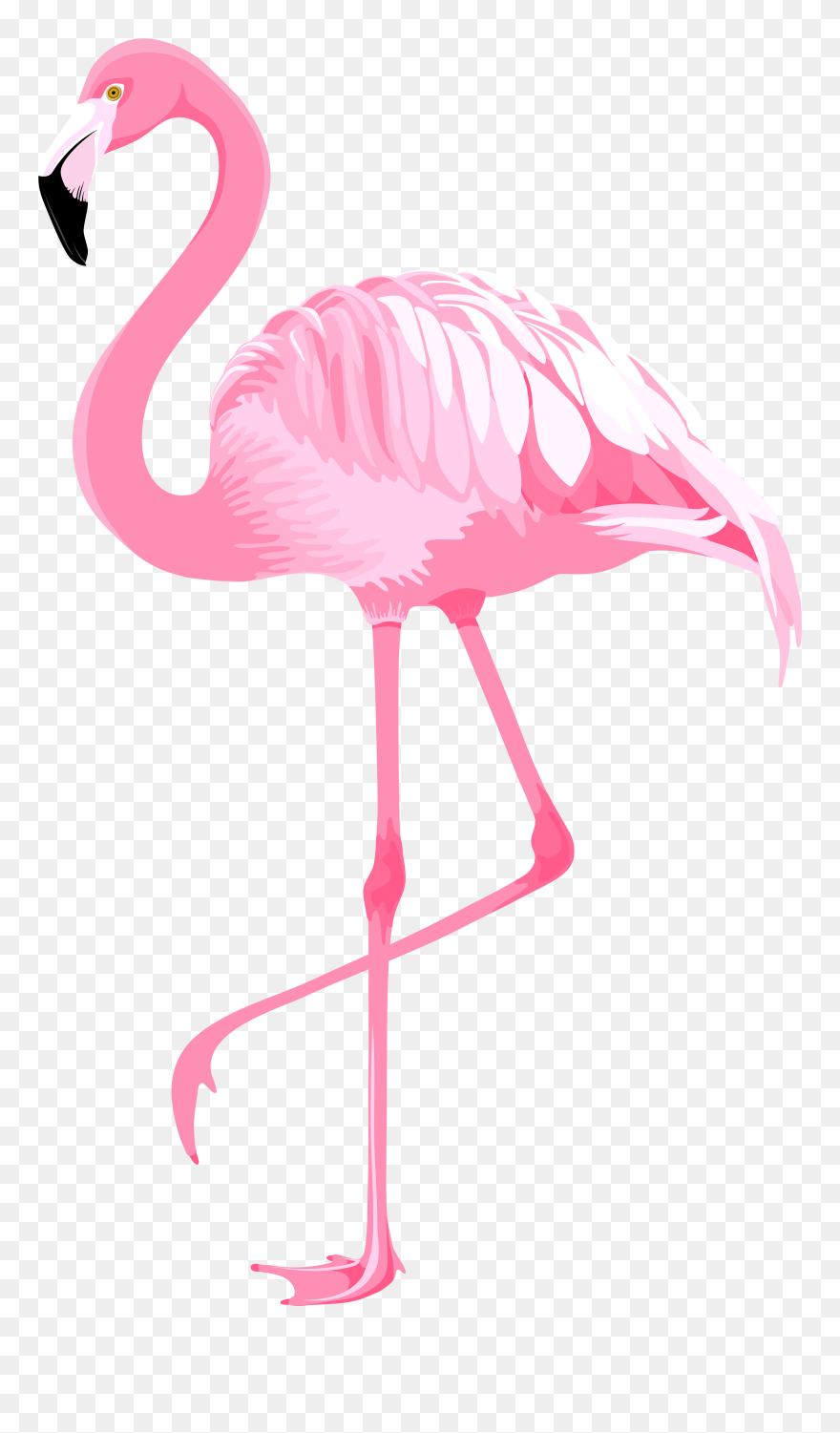 Pink Flamingo Png Clipart - Flamingo Clipart Transparent Png