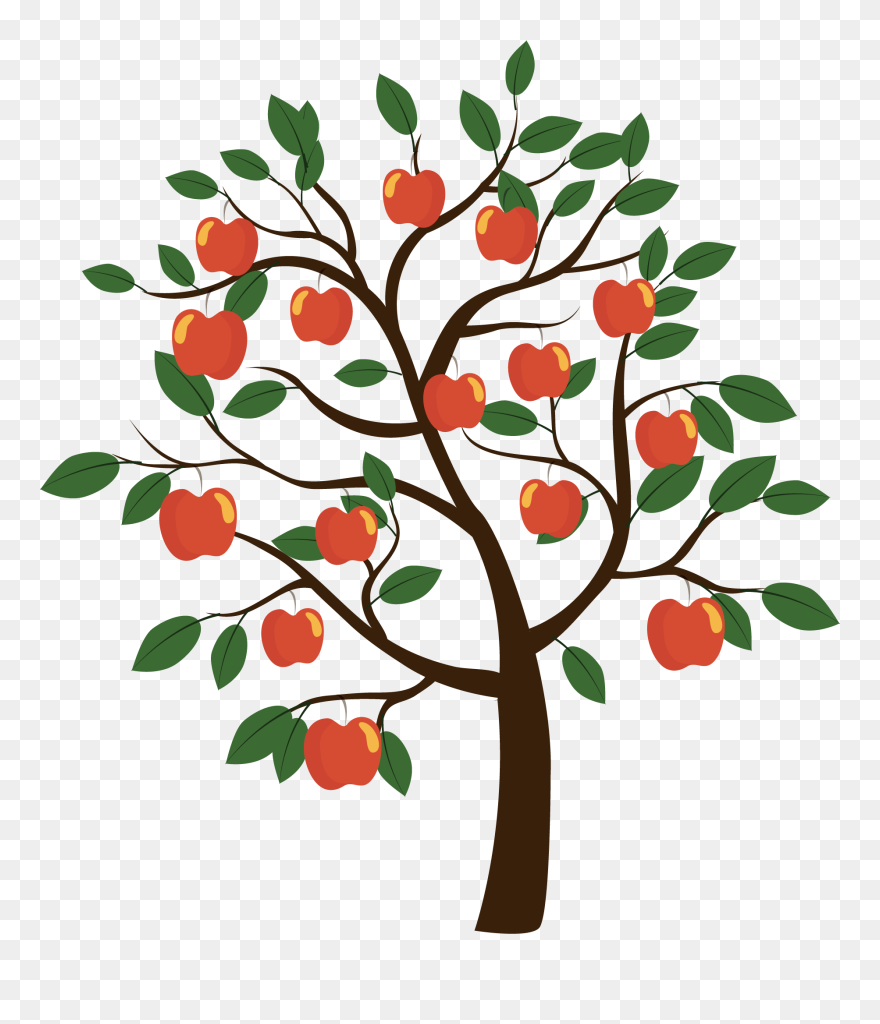 Fruit Tree Euclidean Vector - Diagram Of Apple Tree Clipart