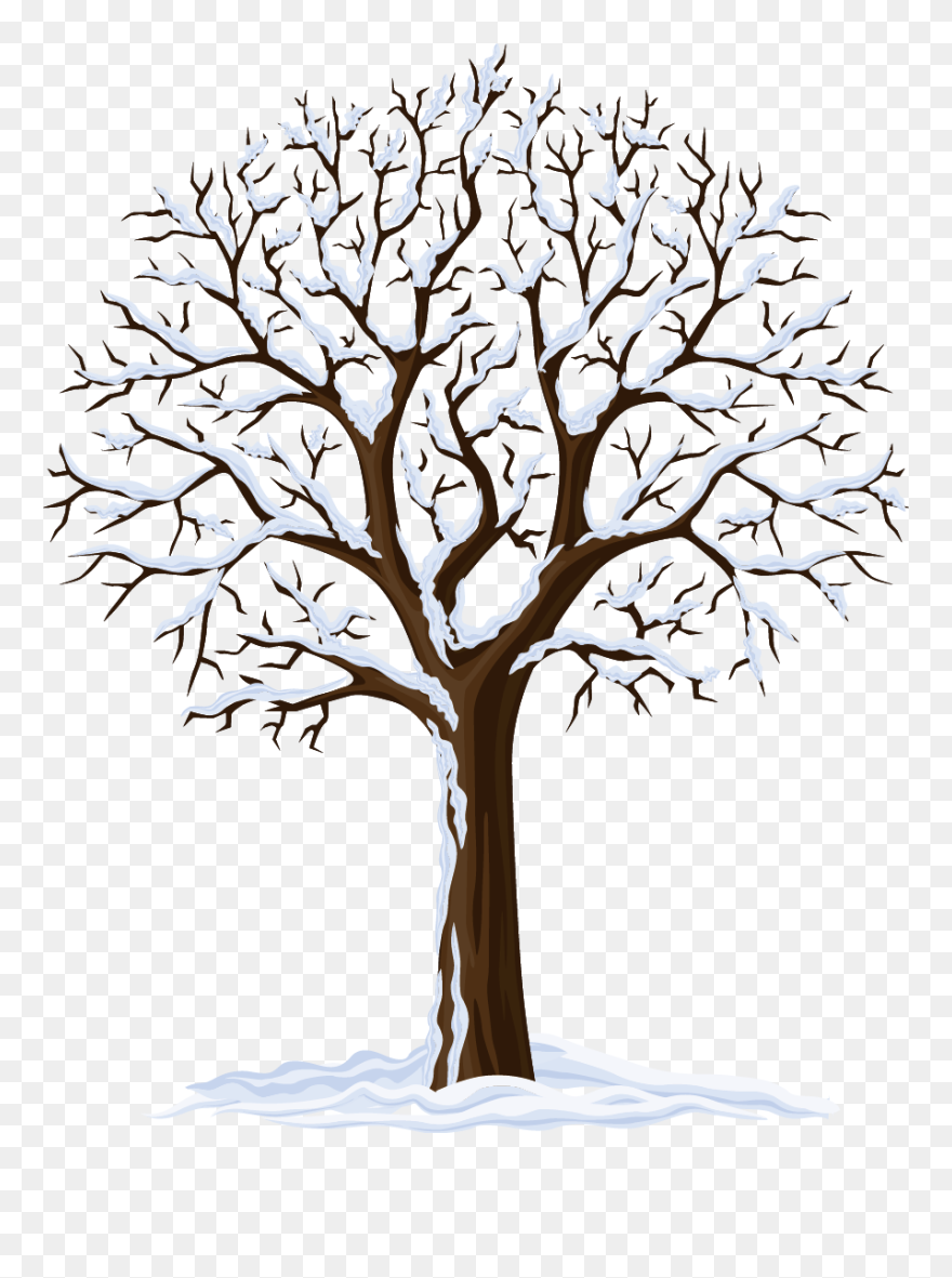 Four Seasons Hotels And Resorts Autumn Clip Art - Transparent Background Tree Clipart Black And White - Png Download