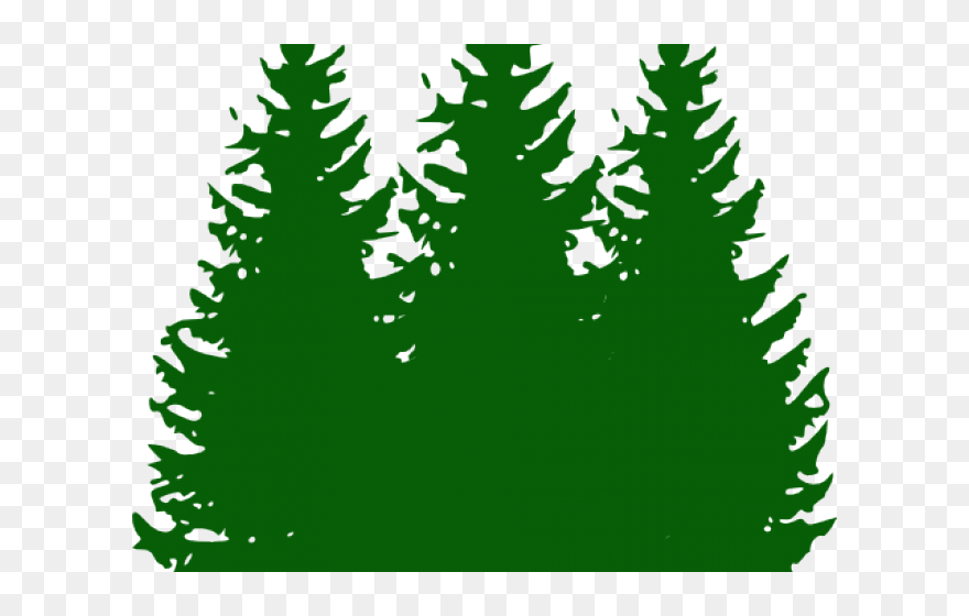 Pine Tree Clip Art , Png Download - Pine Tree Clipart Transparent Png