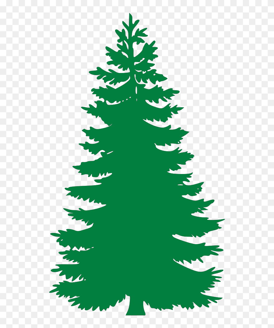 Vector Pine Tree Png Clipart