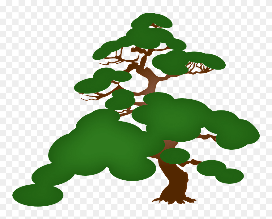 Pine Tree Clipart - 松 イラスト リアル - Png Download