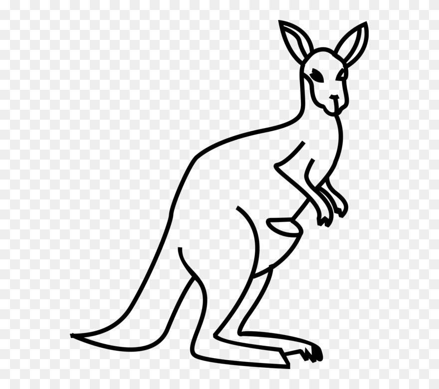 Transparent Kangaroo Clipart Australia - Australia Kangaroo For Drawing - Png Download