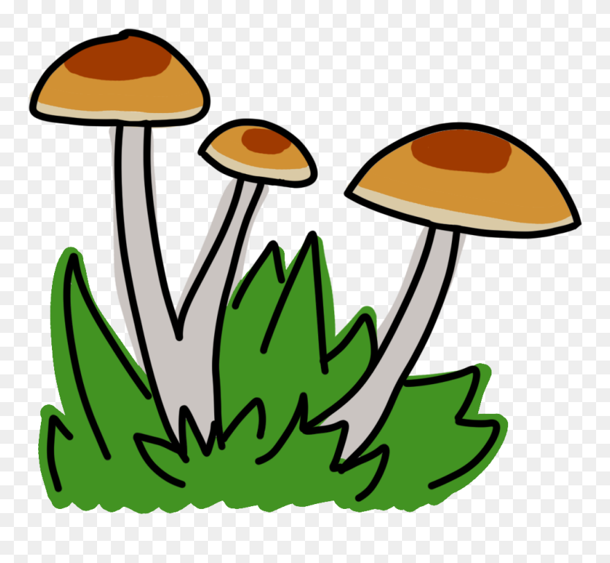 Psychedelics On Track To Be Decriminalized In Santa - Agaricaceae Clipart