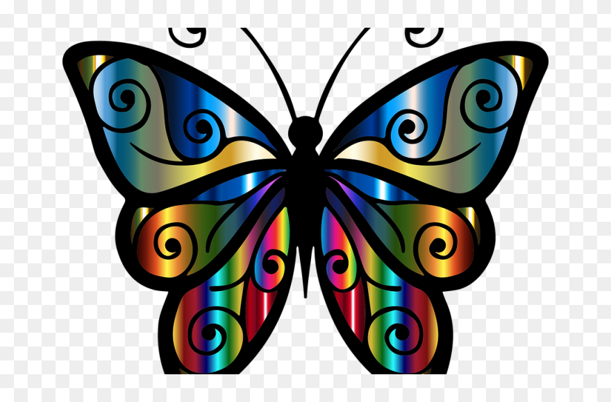 Original Name For A Butterfly Clipart