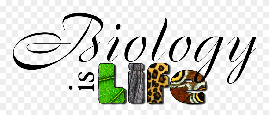 Biology Project Cover Page Clipart