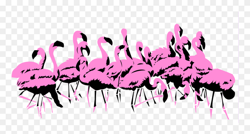 Flamingoes - Greater Flamingo Clipart